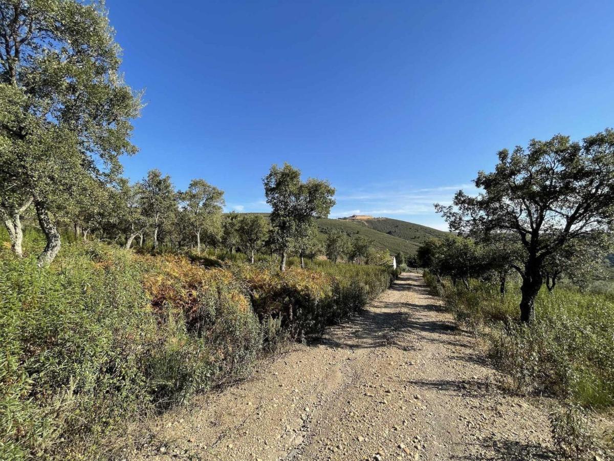 La Albergueria Complejo Rural Cañamero Dış mekan fotoğraf
