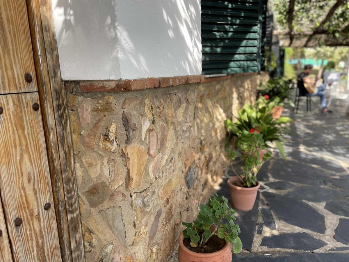 La Albergueria Complejo Rural Cañamero Dış mekan fotoğraf
